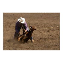 Cowboy ties a calf posters by pshaw_photo Cowboy ties a calf posters