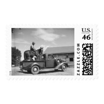 Cowboy with horse in a truck postage stamps