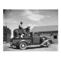 Cowboy with horse in a truck postcards