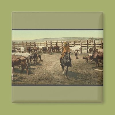 Cowboys and Cows Magnets Zazzle_magnet Cowboys and Cows Magnets Zazzle_magnet