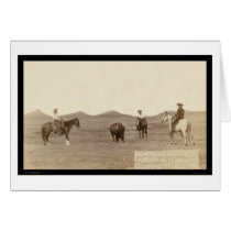 Cowboys Roping A Buffalo SD 1887 cards