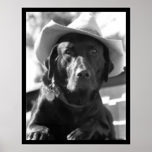 Cowdog Posters