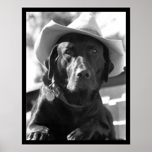 Antique Black and White cowboy dog from cowboy posters
