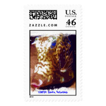 Cowfish postage