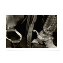 Cowgirl Gear 04 Print posters