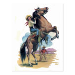 Cowgirl on Horse Postcard