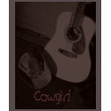 Cowgirl Style t-shirts