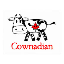 Cownadian Postcard