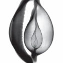 cowrie exray t-shirts by Emmanuel140 cowrie exray t-shirts