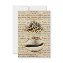 Cowrie shells custom announcement