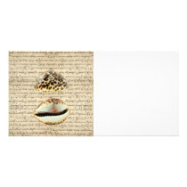 Cowrie shells photo greeting card