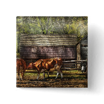Cows - A couple of Cows buttons by suburbanscenes Cows - A couple of Cows buttons