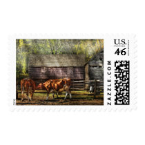 Cows - A couple of Cows postage
