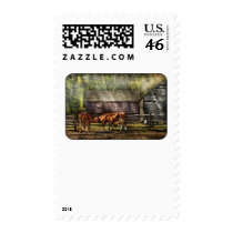 Cows - A couple of Cows postage