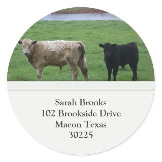 Cows Address Label Stickers
