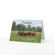 Cows Administrative Pro Day Greeting Card
