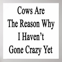 Cows Are The Reason Why I Haven't Gone Crazy Yet Print