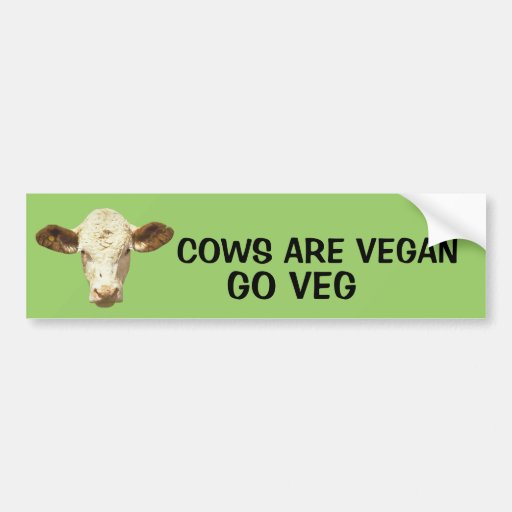 COWS ARE VEGAN: GO VEG BUMPER STICKERS