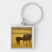 Cows at pasture key chain