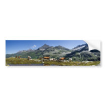 Cows bumper stickers by EMangl Cows bumper stickers