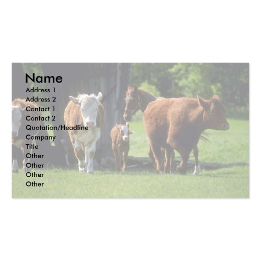 Cows Business Card Template (front side)