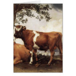 Cows by Potter Cards