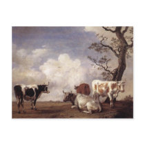 Cows by Potter Postcards