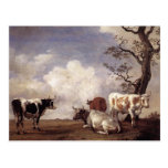 Cows by Potter Postcards