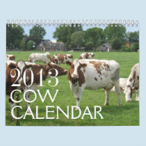 Cows Calendar 2013 calendars