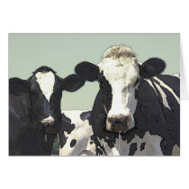 COWS cards