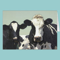 COWS cards by REDINARD COWS cards