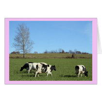 Cows cards by terjdw Cows cards