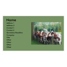Cows Curious Business Cards