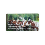 Cows Curious Personalized Address Label