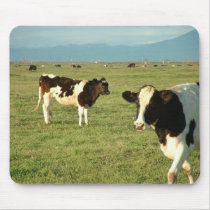 cows got cheese mousepads by BarbaraE02 cows got cheese mousepads