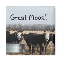 Cows, Great Moos!! (news) Magnet by KatAnnette Cows, Great Moos!! (news) Magnet