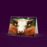 Cows Head
