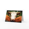 Cows Head cards by BryonTiffDesign Cows Head cards