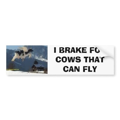 Fly Cow