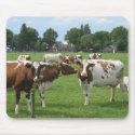 Cows in Dutch Polder Mousepad by hollandshop Cows in Dutch Polder Mousepad