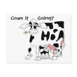 Cows it Going? postcards
