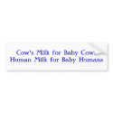 Cow's Milk for Baby CowsHuman Milk for Baby Humans bumper stickers by nisa76 Cow's Milk for Baby CowsHuman Milk for Baby Humans bumper stickers