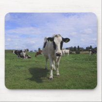 Cows mousepads