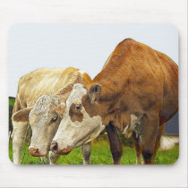 COWS mousepads