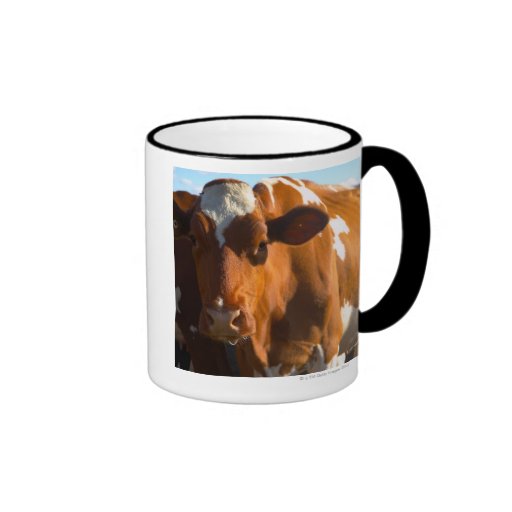 Cows on farm mugs