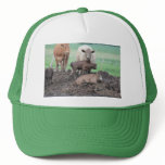 Cows on the Farm hats