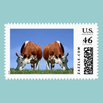 Cows postage