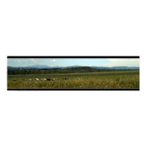 Cows posters by anvildesigns Cows posters