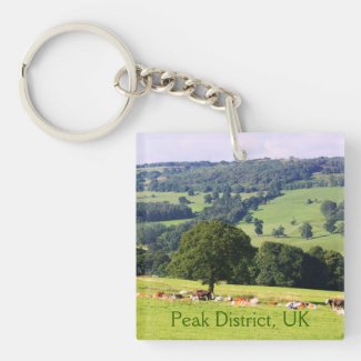 Cows relaxing in green field acrylic keychain