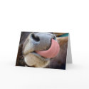Cows Tongue cards